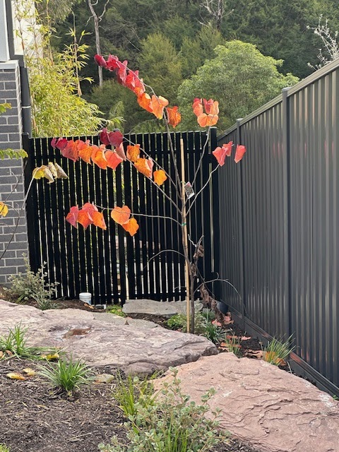 Valley Fencing & Property Services | 55 Burr Rd, Woori Yallock VIC 3139, Australia | Phone: 0403 064 557