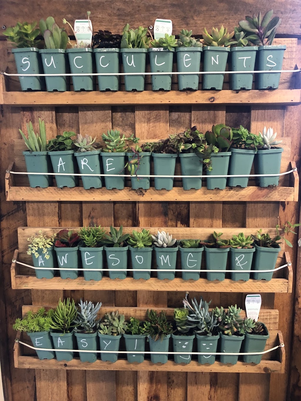 Woodend Nursery | park | 36 Urquhart St, Woodend VIC 3442, Australia | 0400939656 OR +61 400 939 656