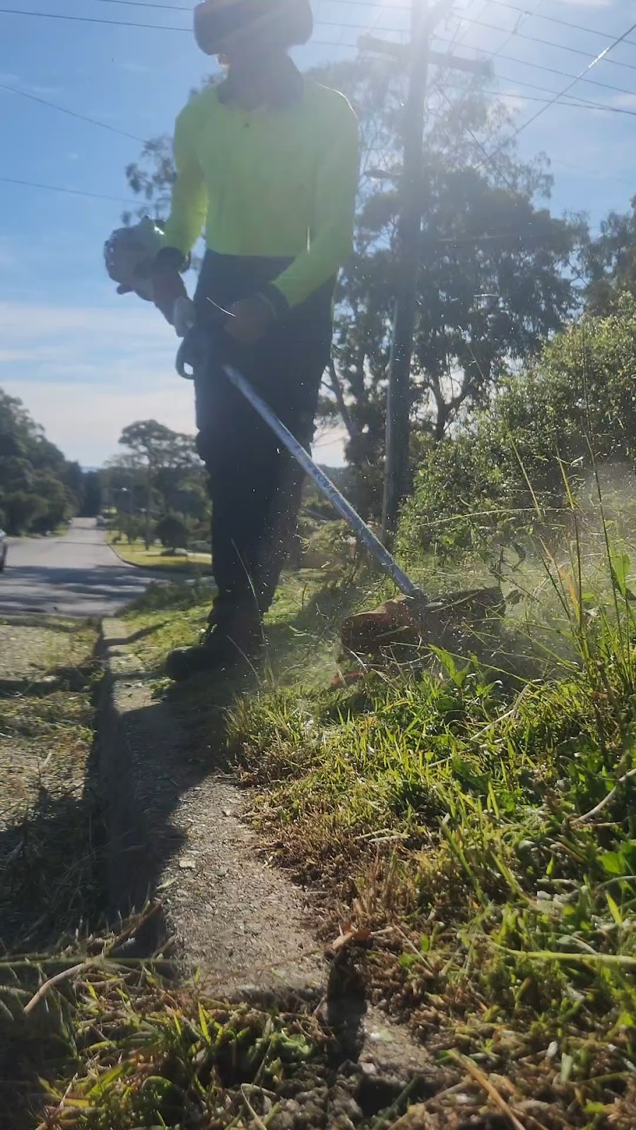 Green Thumb Grass & Gardens | 2 King St, Coolongolook NSW 2423, Australia | Phone: 0455 603 864