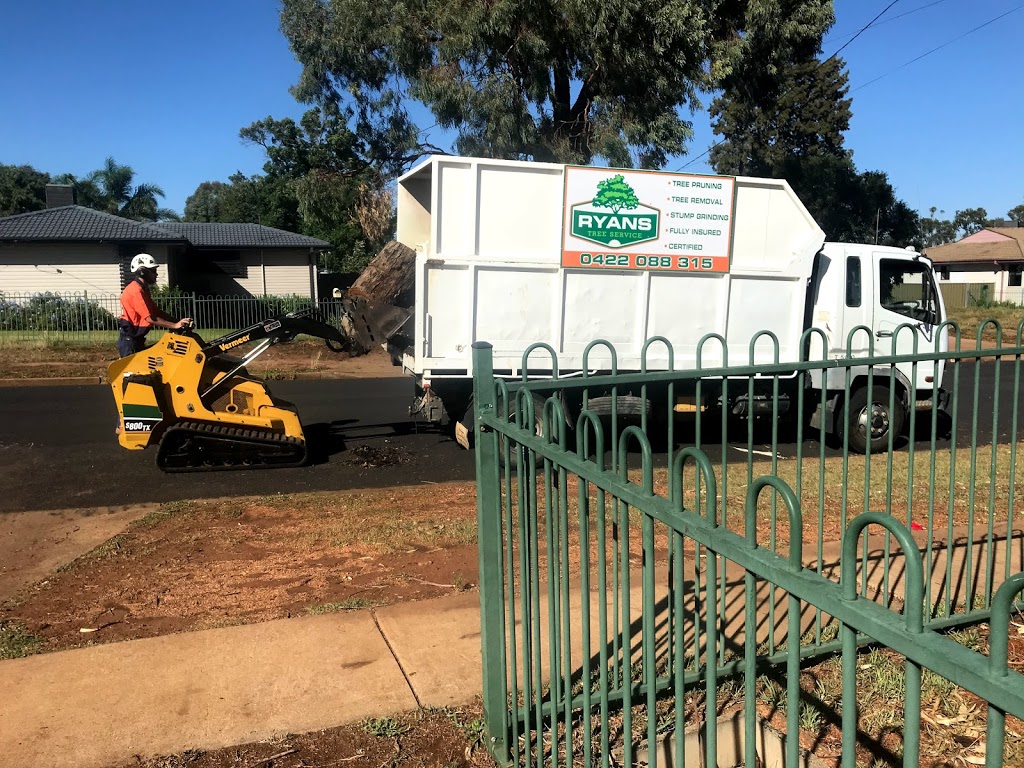 Ryans Tree Service | 16R Boundary Creek Rd, Dubbo NSW 2830, Australia | Phone: 0422 088 315