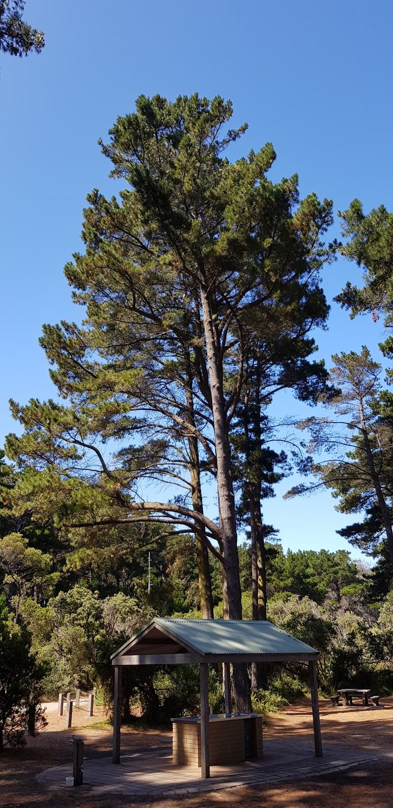 Fingal Picnic Area | 212 Cape Schanck Rd, Cape Schanck VIC 3939, Australia