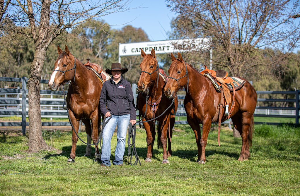 Cherry Tree Equine | 397 Greenhills Rd, Jerangle NSW 2630, Australia | Phone: 0413 609 880