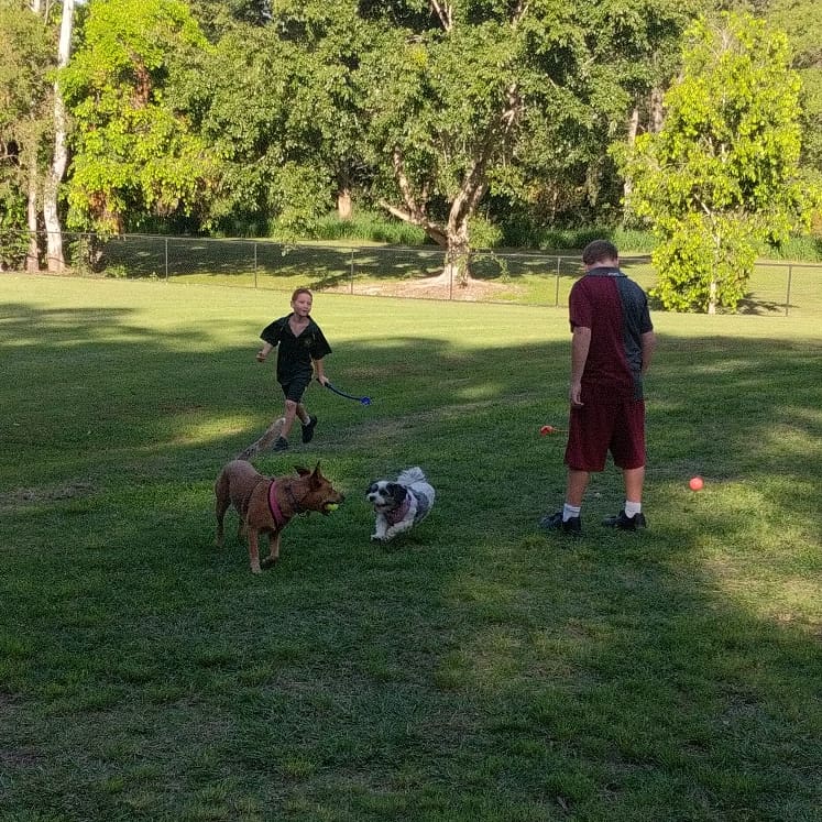 Shand Street Dog Park | 100 Shand St, Stafford QLD 4053, Australia