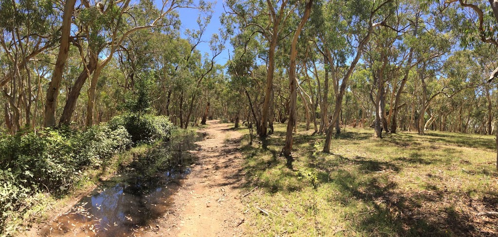 Portland Town Common | park | Reservoir Rd, Portland NSW 2847, Australia