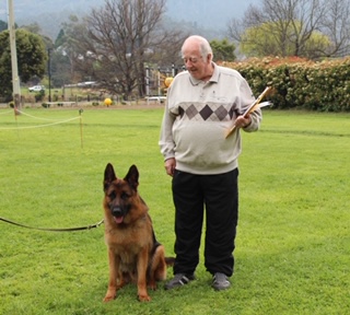 Elsass German Shepherds | 16 Glengarry Rd, Glengarry TAS 7275, Australia | Phone: 0409 979 918