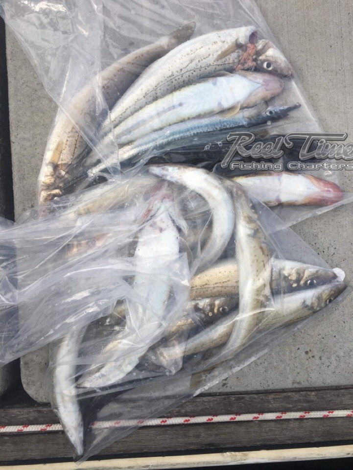 Reel Time Fishing Charters Hastings | Shop 4/145 Salmon St, Hastings VIC 3195, Australia | Phone: 0438 302 093