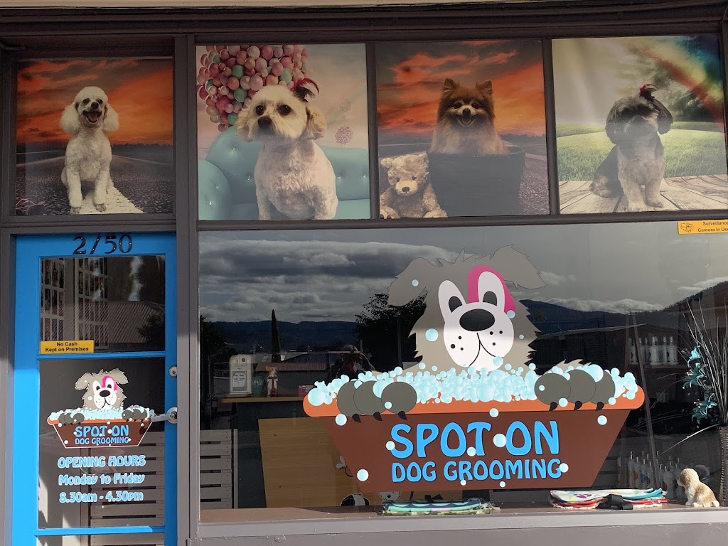 Spot On Dog Grooming | 3 Sunnyview Pl, Honeywood TAS 7017, Australia | Phone: 0482 927 780
