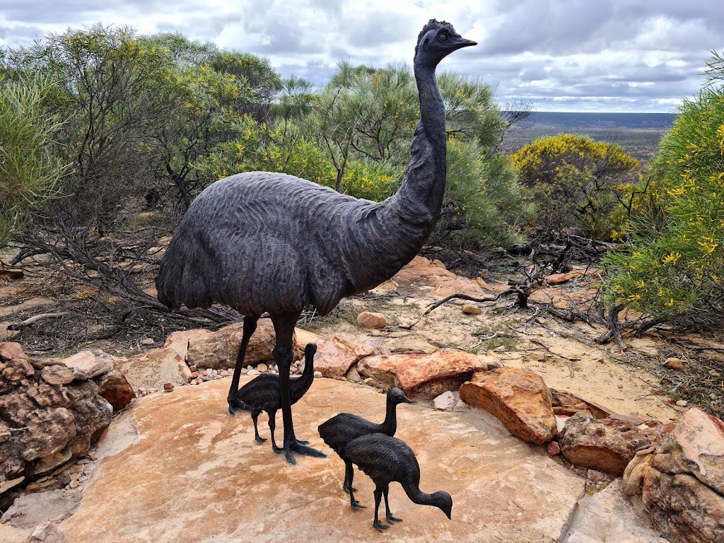 Photo by Brenda Wilkinson (EnviroBren). Kalbarri Skywalk | tourist attraction | West Loop Lookout Road, Kalbarri National Park WA 6536, Australia | 0899371140 OR +61 8 9937 1140
