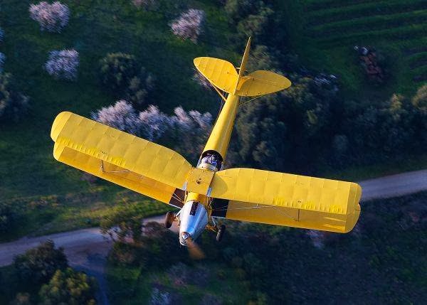 Adelaide Biplanes | airport | Aldinga Airfield Colville Road, Aldinga SA 5173, Australia | 0885565404 OR +61 8 8556 5404