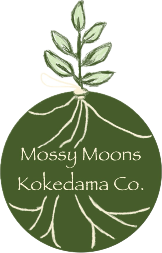 Mossy Moons Kokedama Co. | 2 Mary St, Gorokan NSW 2263, Australia | Phone: 0431 723 091