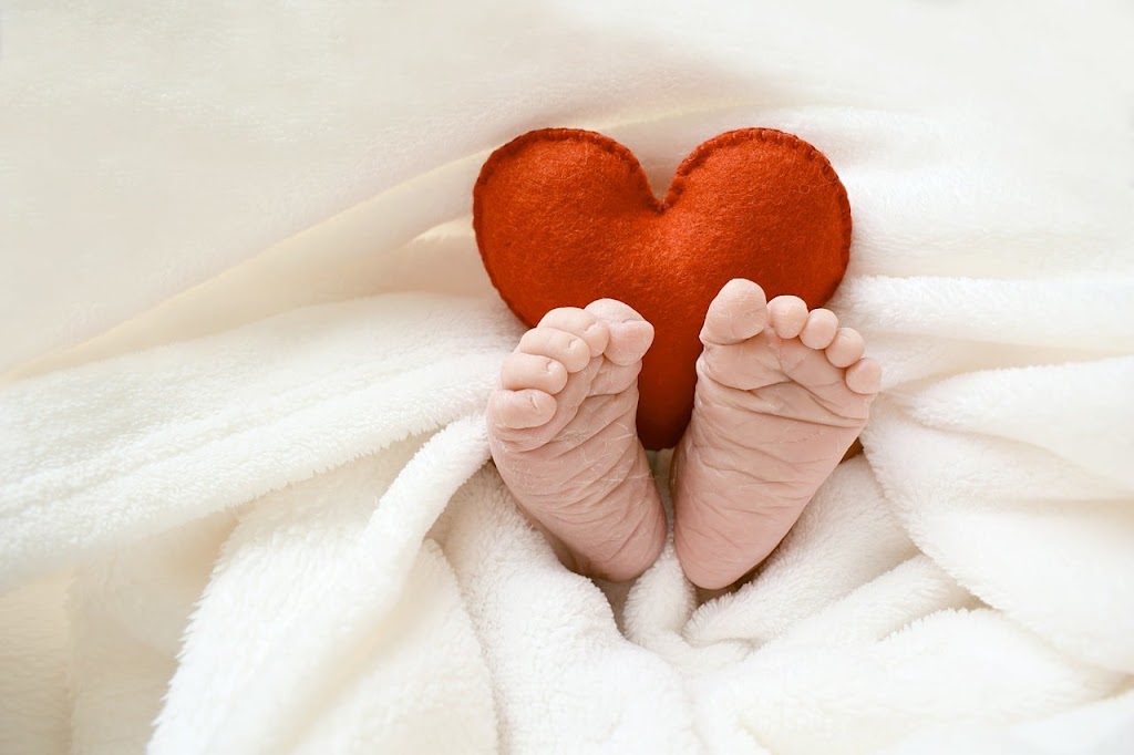 Married by Dawn | 2 Newth Pl, Surf Beach NSW 2536, Australia | Phone: 0437 219 500
