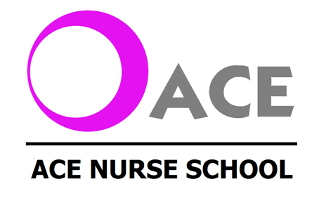 Australian Charter Education (ACE Nurse School) | 208 Queen St, Campbelltown NSW 2560, Australia | Phone: (02) 4017 0417