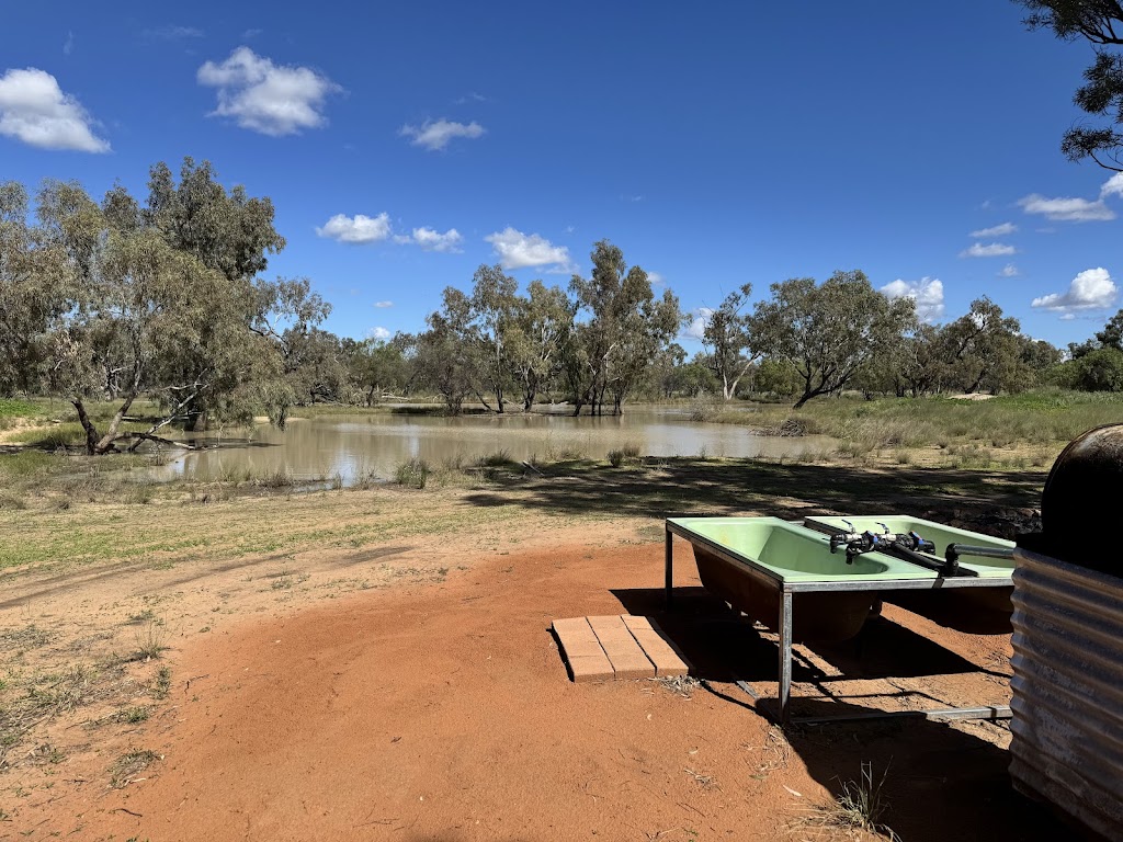 Franc Villers Station | Francvillers Station, Cunnamulla QLD 4490, Australia | Phone: 0409 897 172