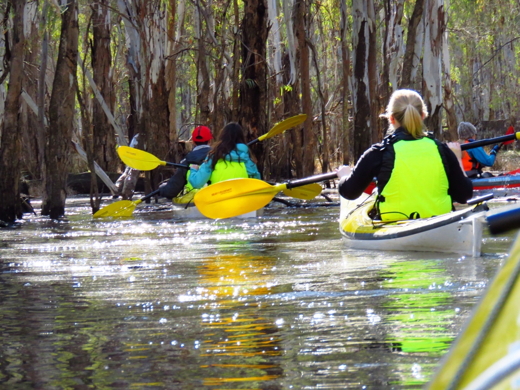 Sydney Harbour Kayaks Murray River Adventures (Cohuna, Vic) | 104 King Edward St, Cohuna VIC 3568, Australia | Phone: 0413 005 787