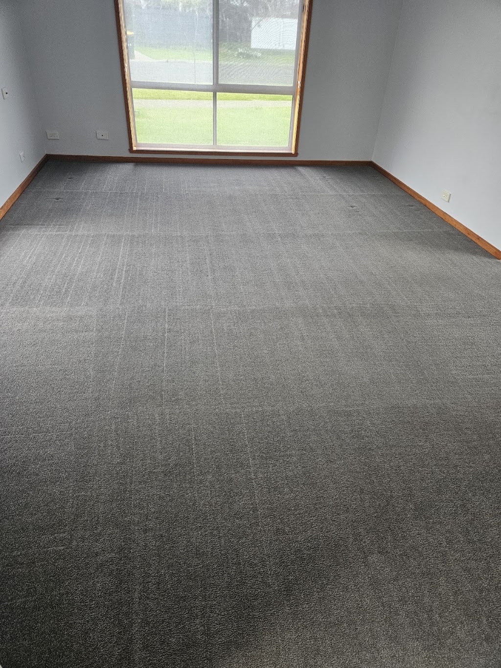 Wow Clean Carpets | Warehouse 7/12 kadak Pl, Breakwater VIC 3219, Australia | Phone: 0418 120 387