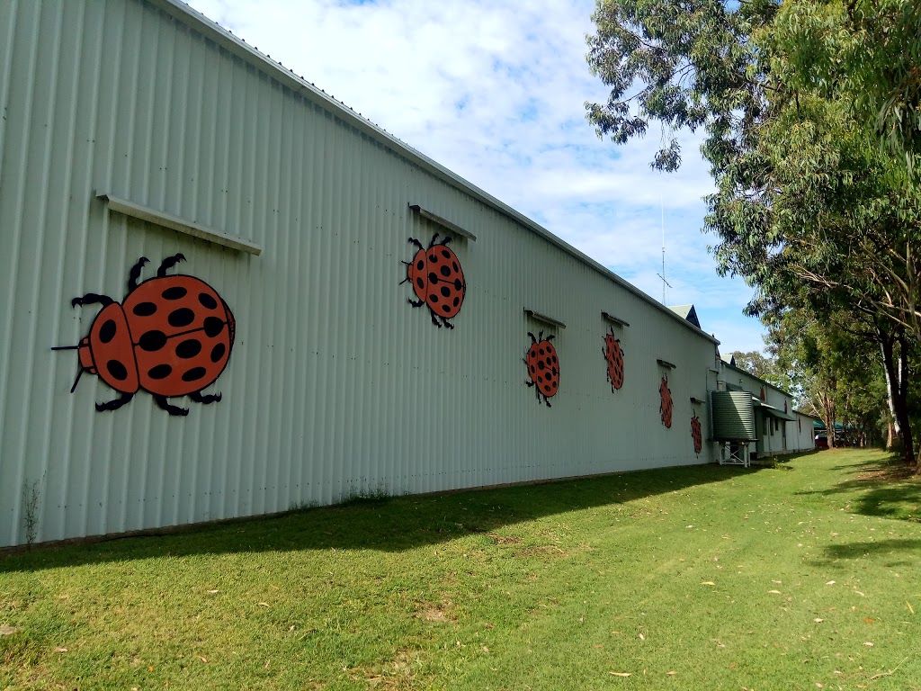 Bugs for Bugs | home goods store | Bowen St, Mundubbera QLD 4626, Australia | 0741654663 OR +61 7 4165 4663