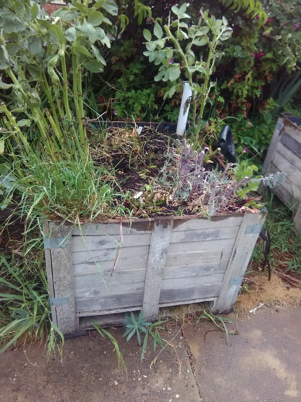 Castlemaine Girl Guide Hall | Kennedy St, Castlemaine VIC 3450, Australia | Phone: (03) 8606 3500