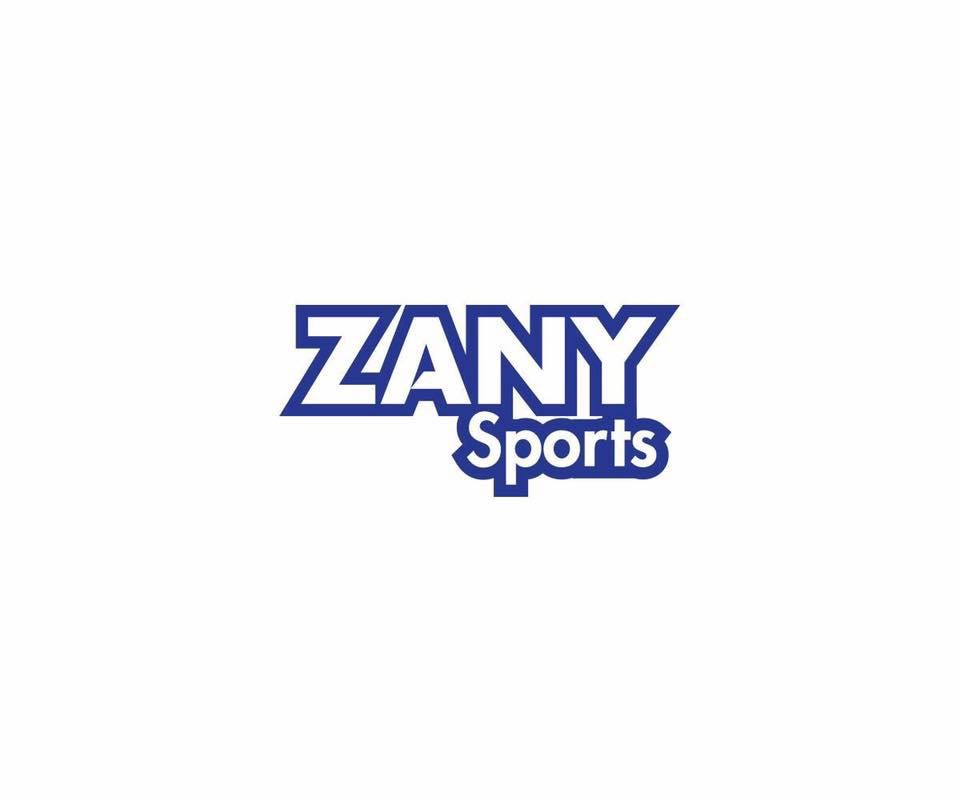 Zany Sports Dodgeball | gym | 20 Distribution Pl, Seven Hills NSW 2147, Australia | 0401537960 OR +61 401 537 960
