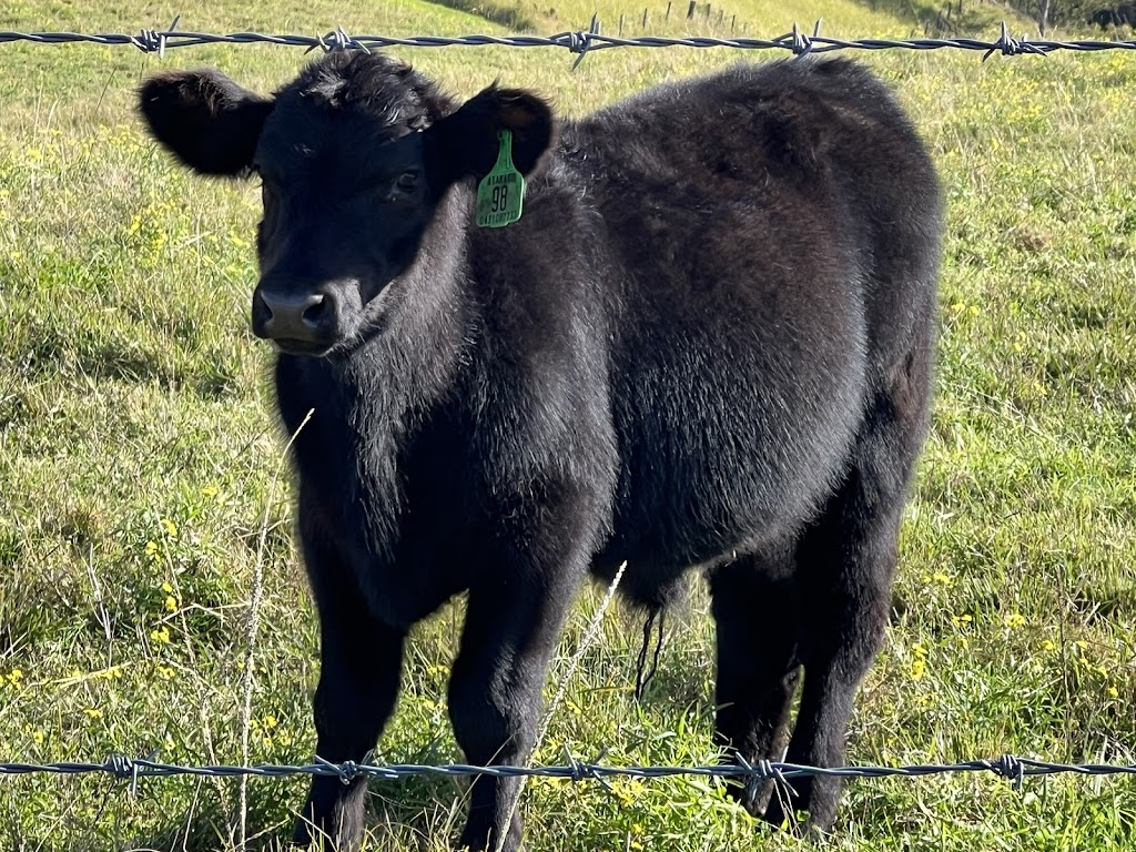 Ataraxis Farms | 825 Collins Creek Rd, Kygole NSW 2474, Australia | Phone: 0431 087 733