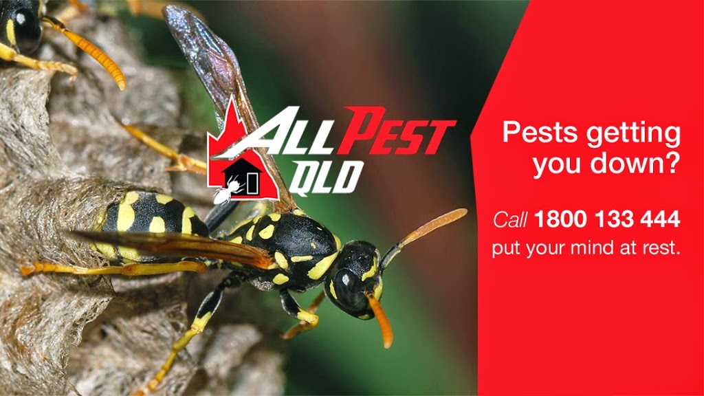 All Pest Qld | Gate 2/170 Pierce Avenue, Caloundra QLD 4551, Australia | Phone: 1800 133 444
