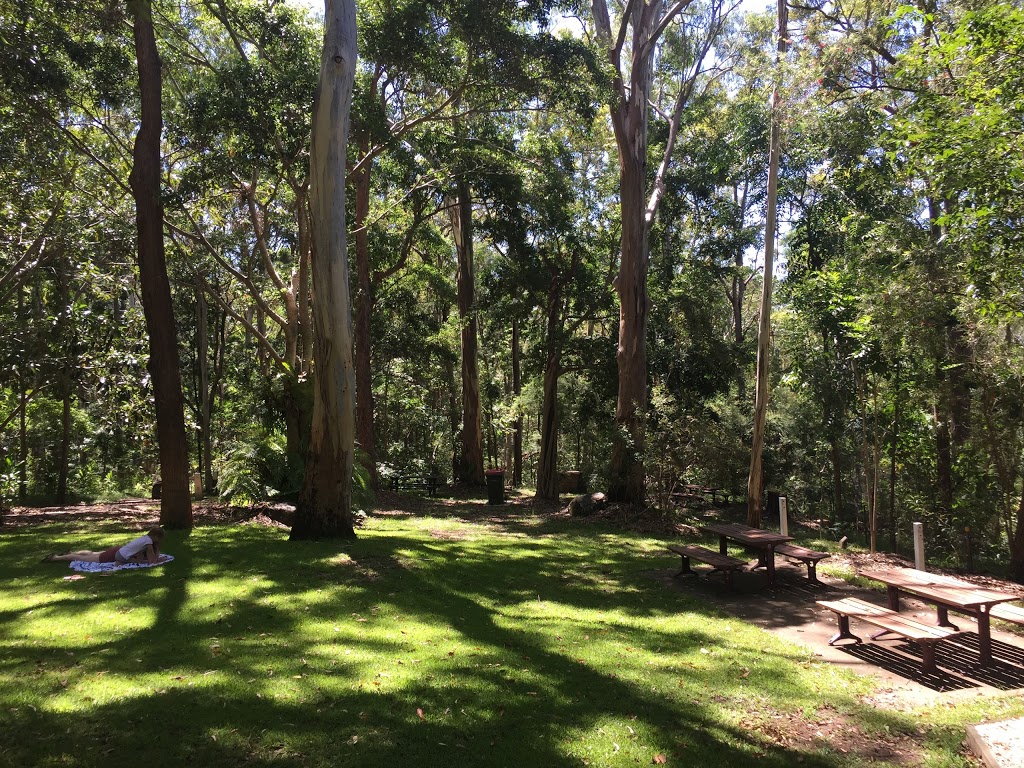 Photo by Adam Russell. E J Foote Sanctuary | park | Park Ln, Buderim QLD 4556, Australia
