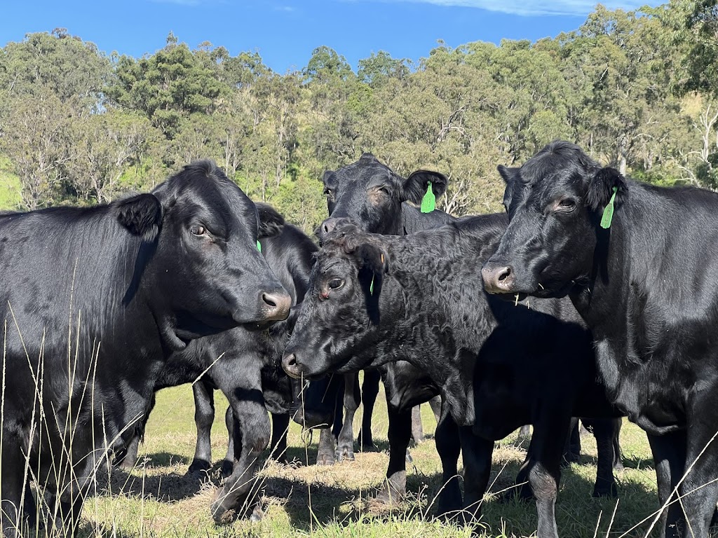 Ataraxis Farms | 825 Collins Creek Rd, Kygole NSW 2474, Australia | Phone: 0431 087 733