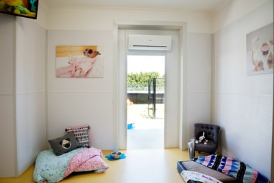 We Love Dogs Kennel Resort | 60 Smiths Ln, Pearcedale VIC 3912, Australia | Phone: (03) 5978 5831