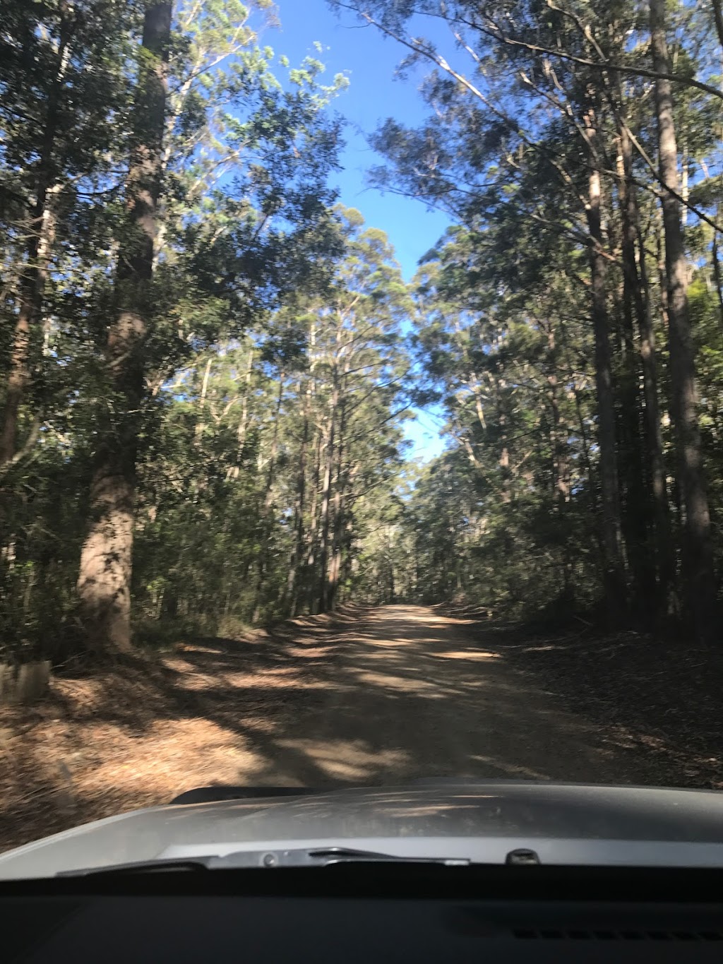 DAguilar National Park | park | Mount Glorious Road, Mount Byron QLD 4312, Australia | 137468 OR +61 137468