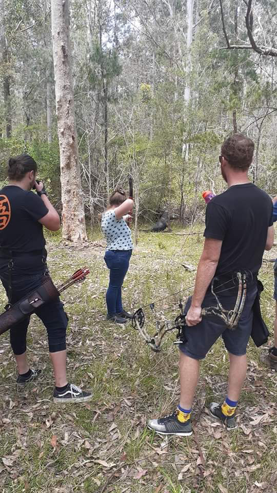 Mountain View Archers Wingham | 1274 Gloucester Rd, Wingham NSW 2429, Australia | Phone: 0418 271 042