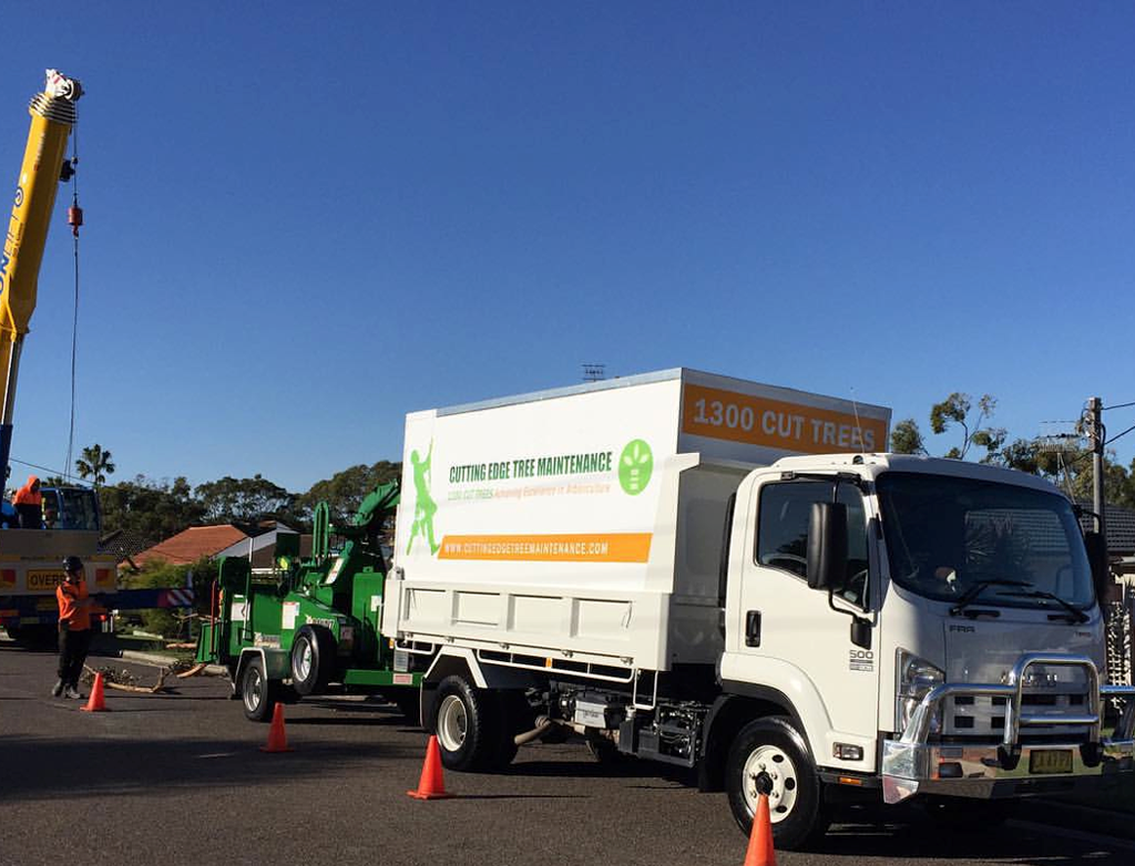 Cutting Edge Tree Maintenance | 47 King St, Warners Bay NSW 2282, Australia | Phone: (02) 4003 4400