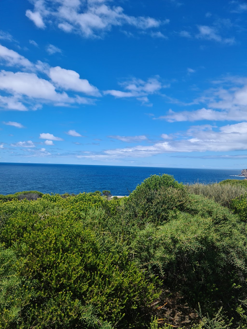 Coast Walk Royal National Park Sydney |  | Loftus St, Bundeena NSW 2230, Australia | 0299754553 OR +61 2 9975 4553