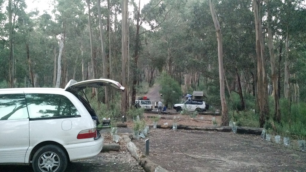Sharps Camping Area | campground | Lorne VIC 3232, Australia