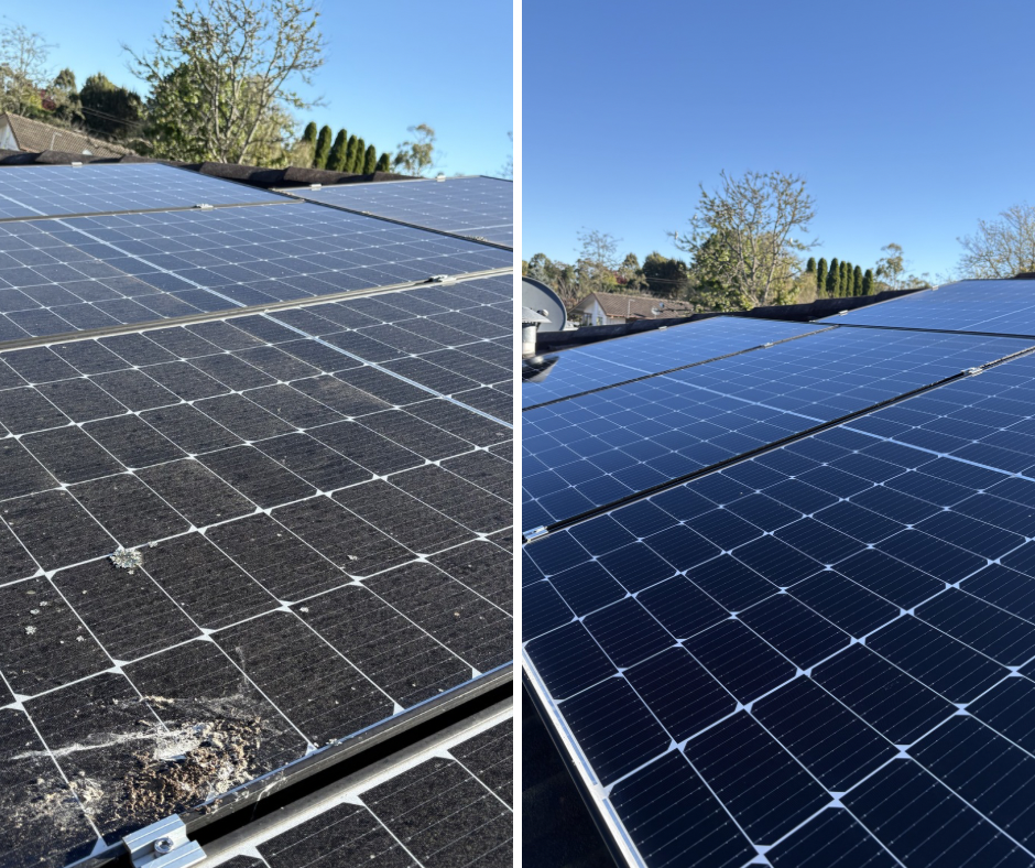 Absolute Exterior Cleaning | 17 Wisteria st, Moss Vale NSW 2577, Australia | Phone: 0423 464 906