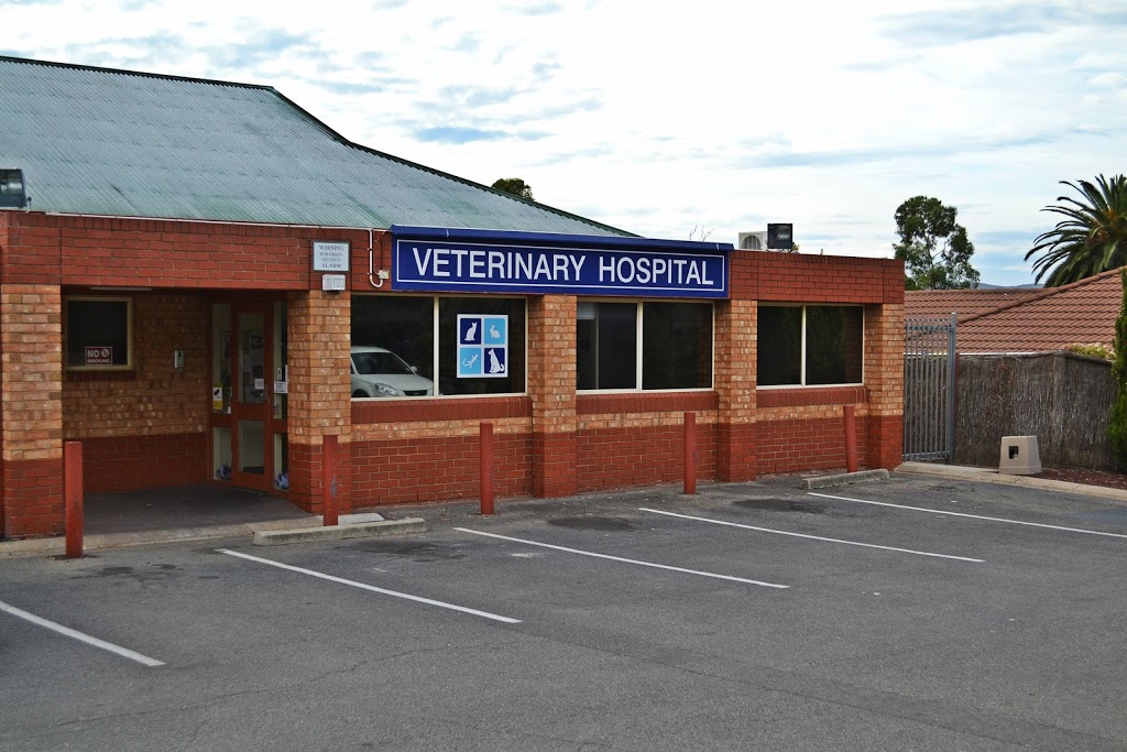 Vets4Pets Golden Grove Emergency Veterinary Hospital | 103 The Golden Way, Wynn Vale SA 5127, Australia | Phone: (08) 8289 3722