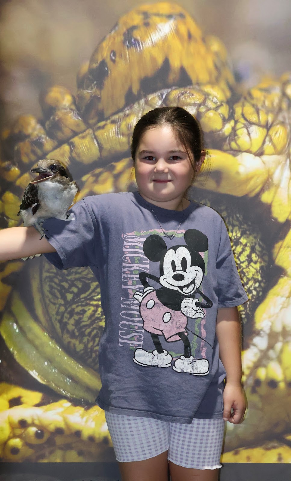 Educreatures | Bacchus Marsh Rd, Bacchus Marsh VIC 3340, Australia | Phone: 0456 750 127