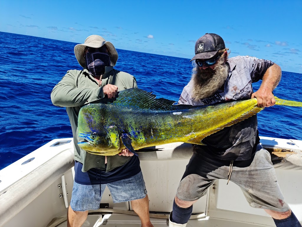 Sea Probe Fishing Charters | Muriel Henchman Dr, Main Beach QLD 4217, Australia | Phone: 0400 312 330