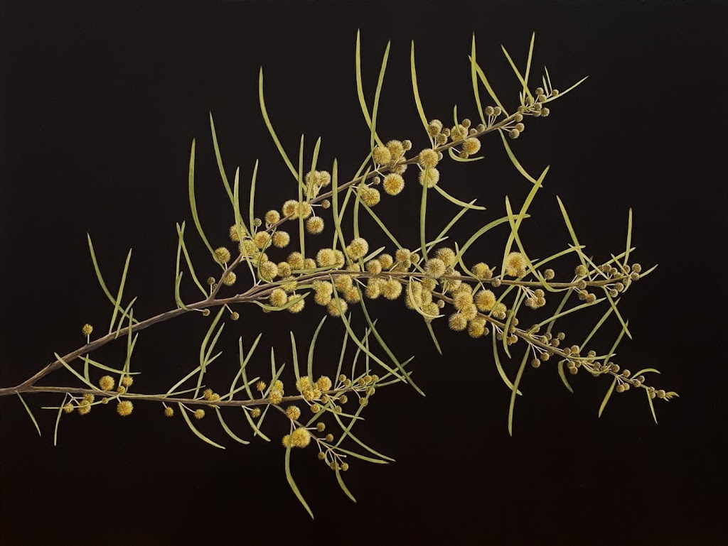 Linda Lunnon Illustration | Wine Country Dr, North Rothbury NSW 2335, Australia | Phone: 0491 744 245