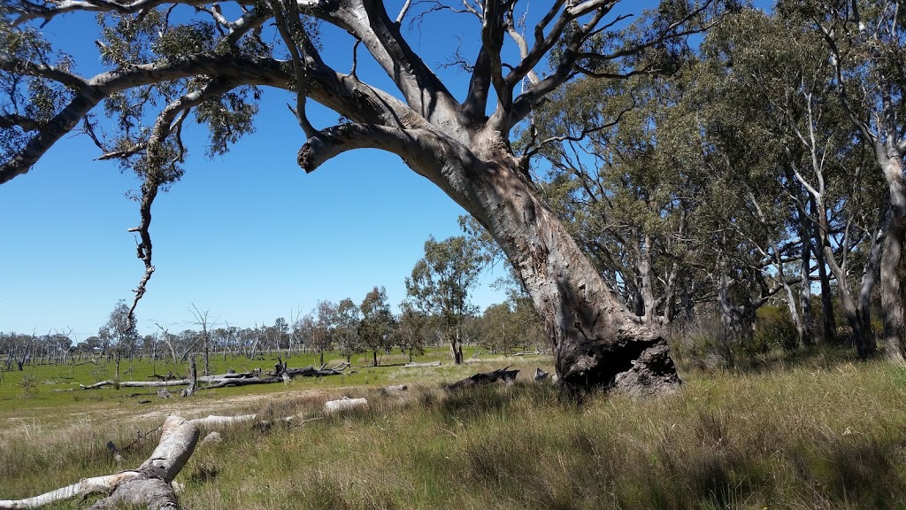 Clear Lake | school | 4006 Harrow-Clear Lake Rd, Clear Lake VIC 3409, Australia