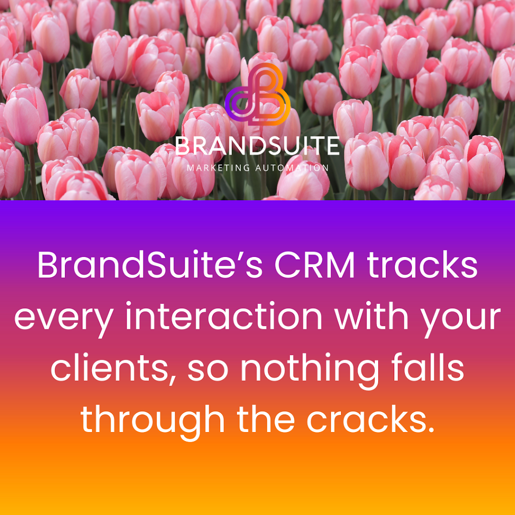 BrandSuite | 5 Bradys Rd, Highfields QLD 4352, Australia | Phone: 0400 314 869