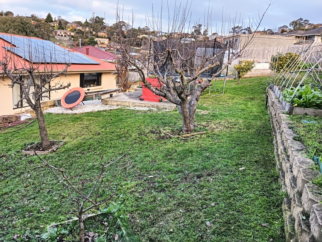 5gardengws | 105 Lennox Ave, Lutana TAS 7009, Australia | Phone: 0468 356 685