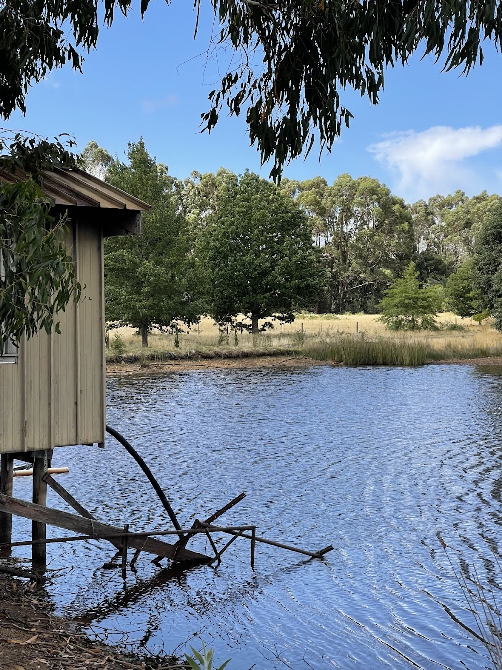 Ninaya Farm | 104 Chambers Rd, Ashbourne VIC 3442, Australia | Phone: 0433 176 710