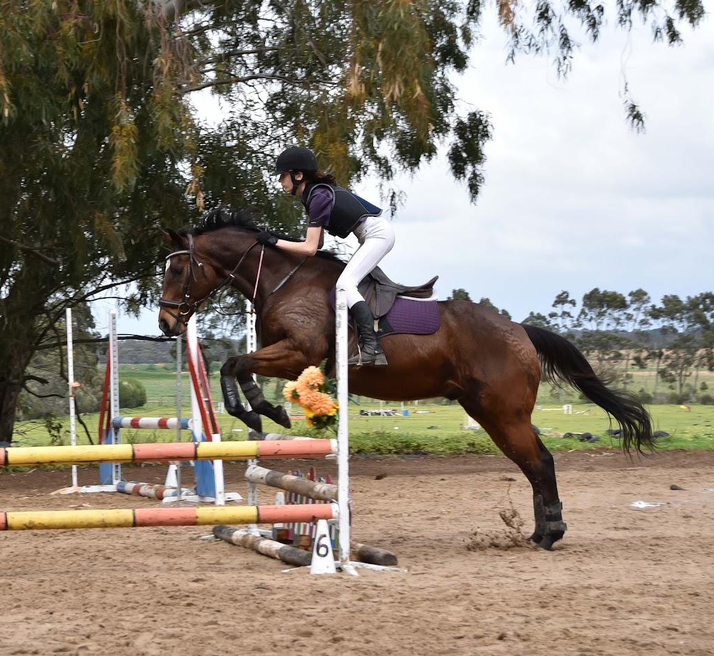 Yarrada Farm Riding School | 1644 Great Northern Hwy, Upper Swan WA 6069, Australia | Phone: (08) 9296 4487