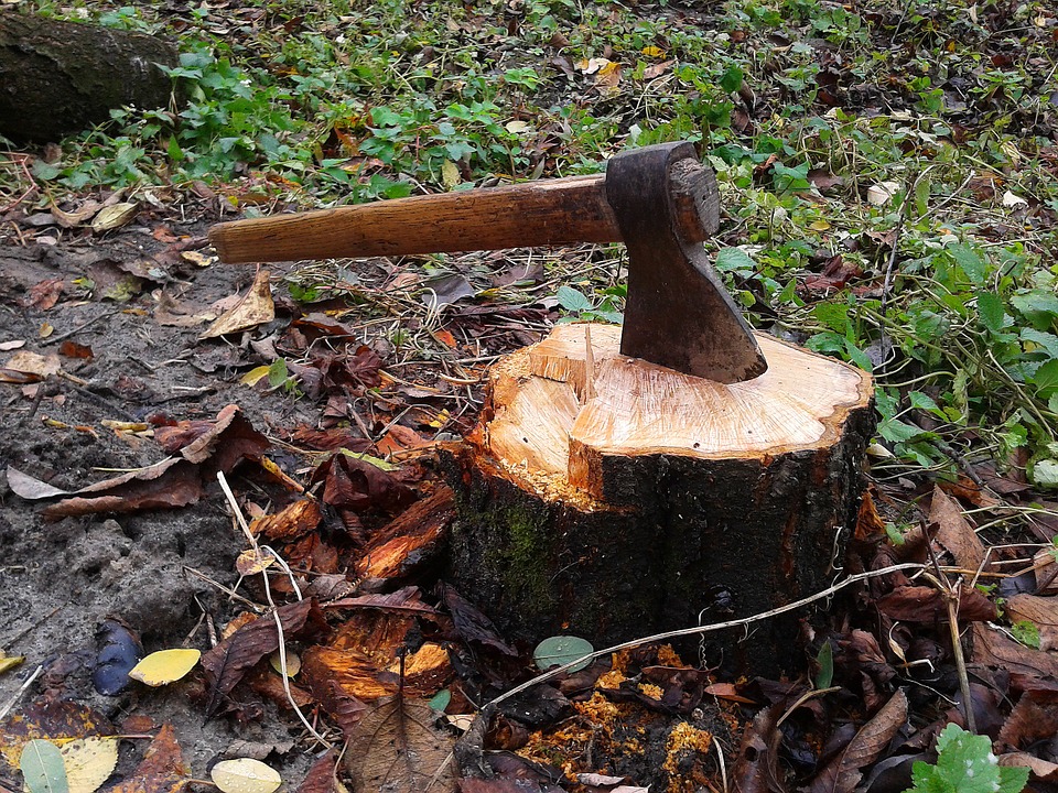 Country Vic Tree Removal | moving company | 33 Hastie St, Tatura VIC 3616, Australia | 0455365659 OR +61 455 365 659