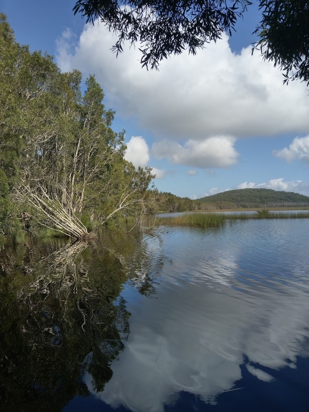 Cudgen Nature Reserve | park | Bogangar NSW 2488, Australia