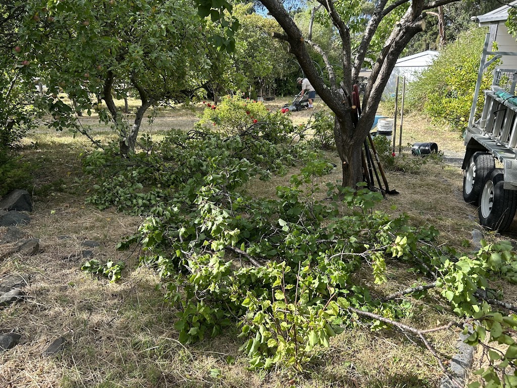 Nates Home and Garden Works | Unit 2/19 Nicholas Dr, Kingston Beach TAS 7050, Australia | Phone: 0406 315 985