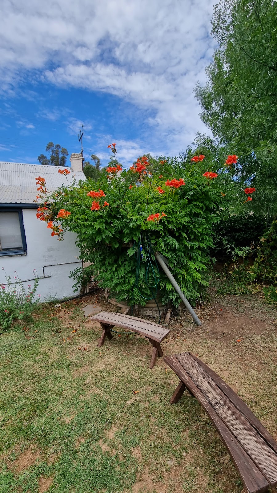 Kooringa Cottage Burra - Bed & Breakfast | 9 George St, Burra SA 5417, Australia | Phone: 0401 321 318