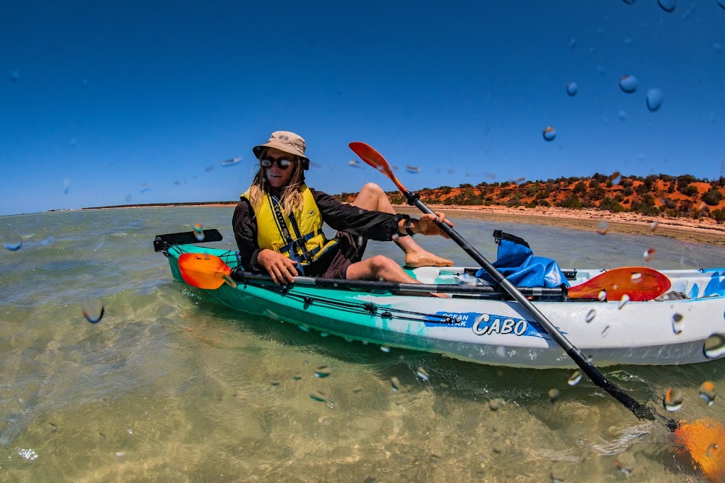 Paddling Monkey Mia Kayak Safaris and SUP Hire | 1 Monkey Mia Rd, Shark Bay WA 6537, Australia | Phone: 0428 911 283