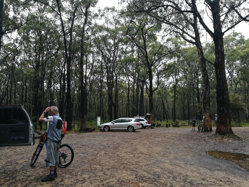 Forrest Yaugher MTB Trailhead | Forrest VIC 3236, Australia