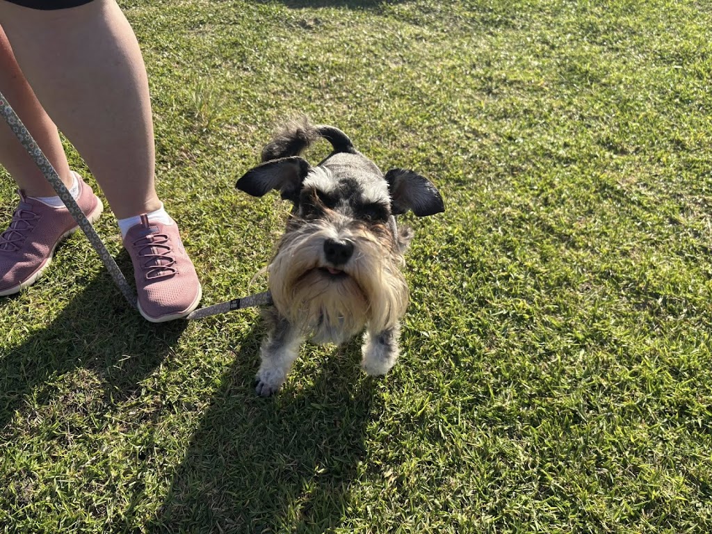 Debs Dog Training | Failford NSW 2430, Australia | Phone: 0494 551 882