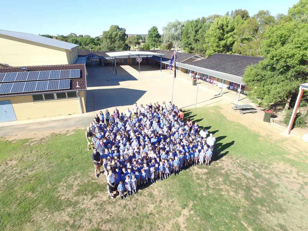 Holy Trinity Primary School | school | 13 Bardia St, Wagga Wagga NSW 2650, Australia | 0269313704 OR +61 2 6931 3704